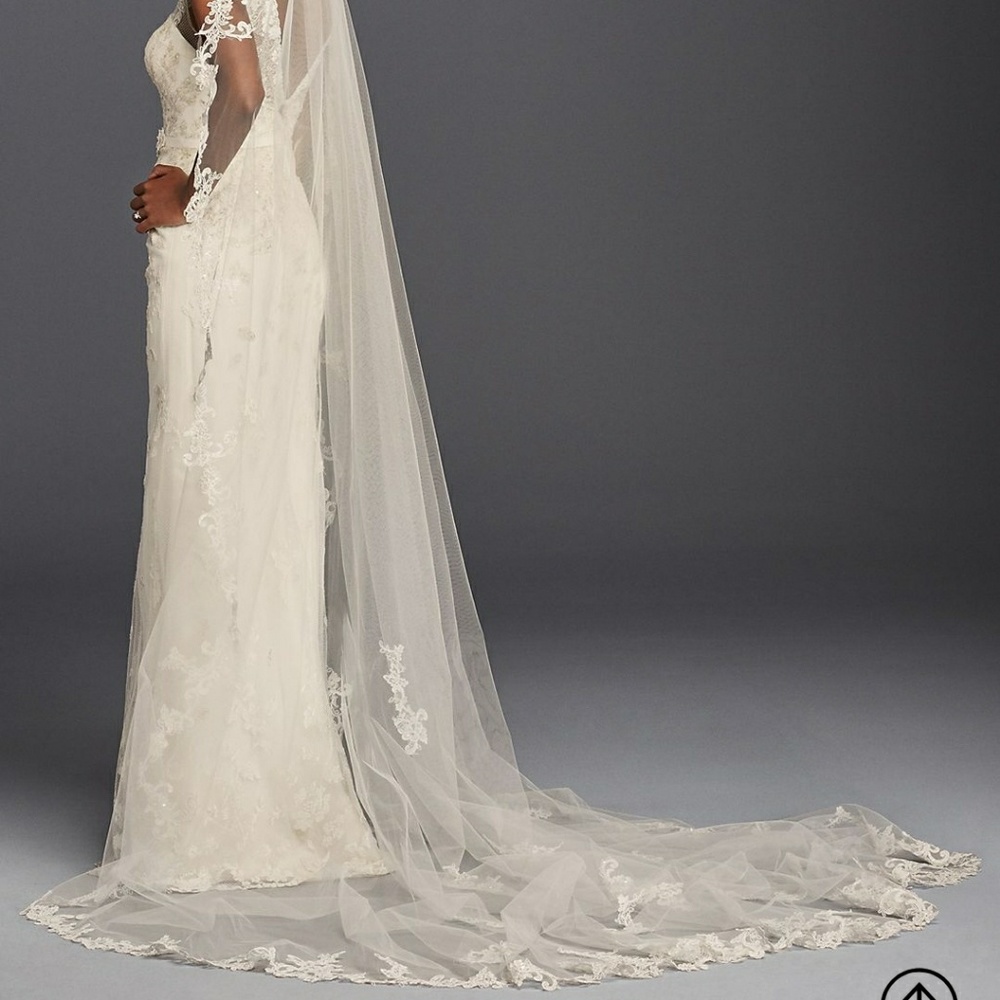 David's Bridal 1 teir cathedral length lace veil